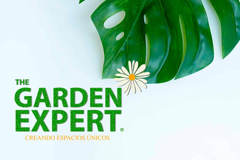 hydrogen sulfide symptoms | The Garden Expert