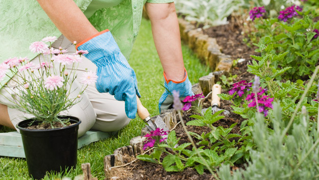 ¿Cómo cuidar nuestro jardín sin usar productos químicos? | The Garden Expert